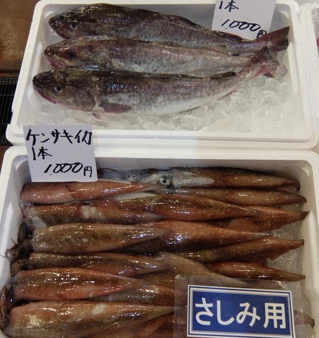 12/16(金)売り場開催！週末は鳥取の魚でお鍋、いかがですか？