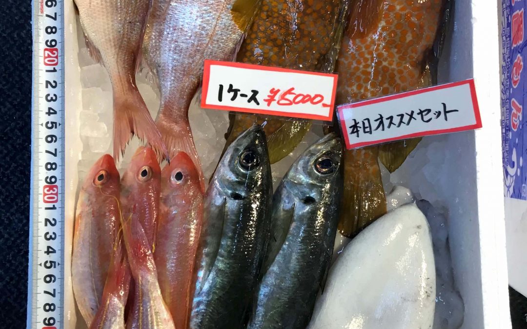 3/8(木) 島根松江 海の幸 魚心：「のどぐろ」やお得な「鮮魚セット」などを販売