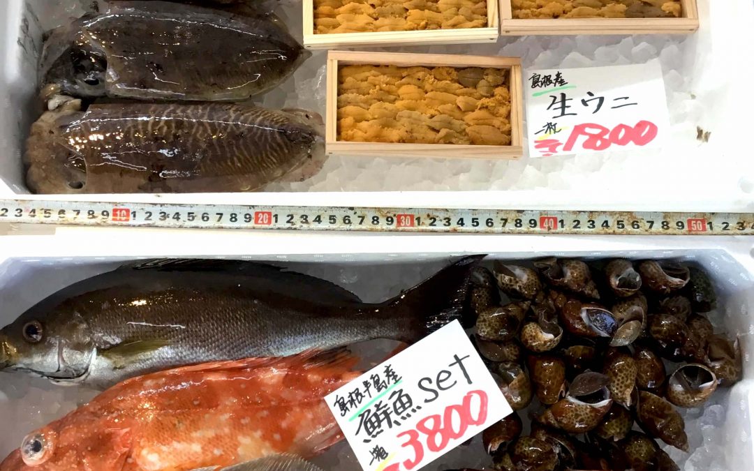 4/3(火)島根松江 海の幸 魚心：「魚心鮮魚SET」「生板うに」などをご用意