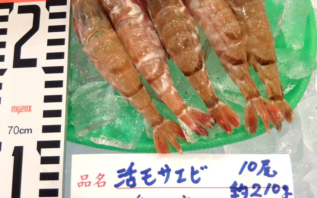 4/9(月)鳥取港海鮮市場 かろいち：「モサエビ」「境港サーモン」などを販売！