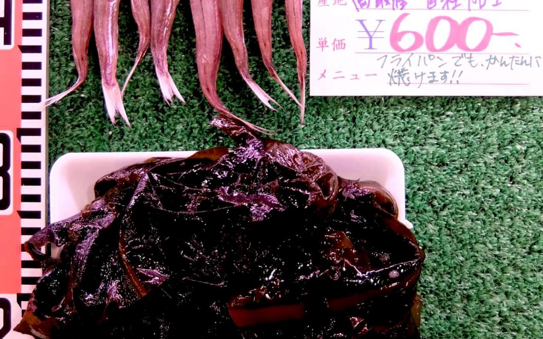 4/13(金)鳥取港海鮮市場かろいち：モサエビ、境港サーモンの他にあのスーパー海藻が登場！