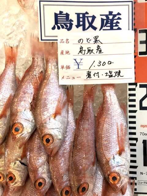 4/16(月)鳥取港海鮮市場かろいち：「のど黒」「赤なまこ」が登場！