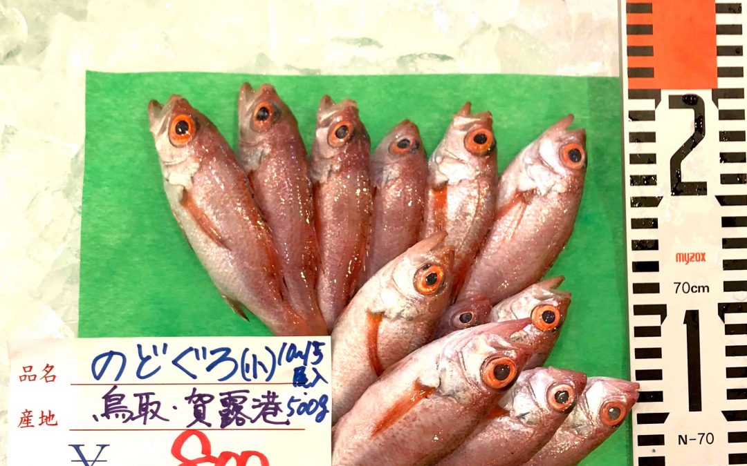 4/6(金)鳥取港海鮮市場 かろいち：鳥取自慢の「モサエビ」や「のどぐろ」を販売！