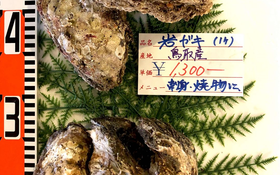 7/13(金)　鳥取賀露港海鮮市場 かろいち：天然岩がきを販売！