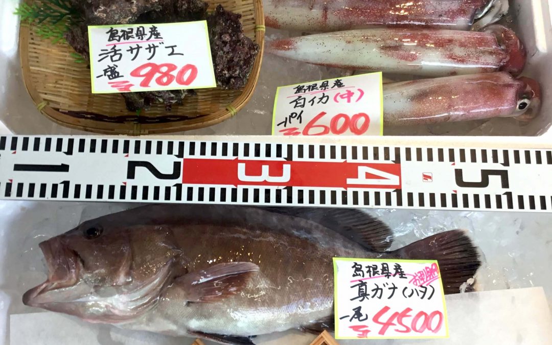 7/24(火)島根松江 海の幸 魚心：白イカ、活サザエ、赤ウニなどを販売
