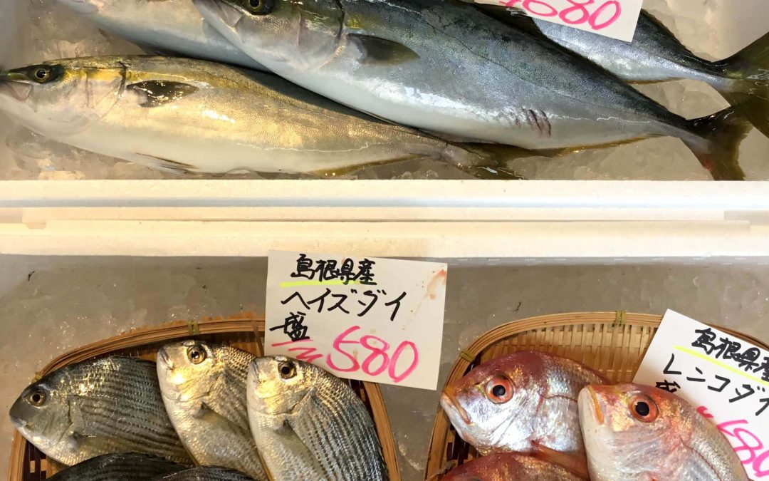 10/4(木) 島根松江 海の幸 魚心：ハマチ、レンコダイ、のどぐろなどを販売