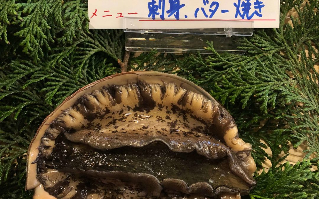 1月27日（月）鳥取港海鮮市場 かろいち：アワビ、サザエなどが登場！