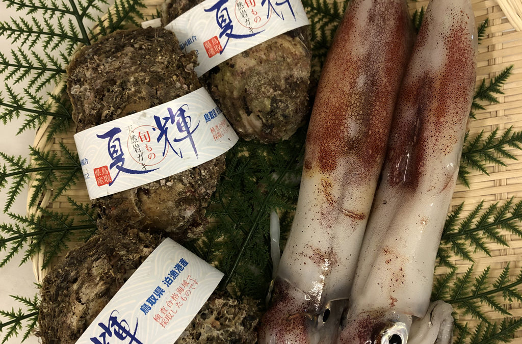 6月8日（月）鳥取港海鮮市場 かろいち：2500円以上購入で送料無料！岩ガキ、鮮魚セットなど登場！