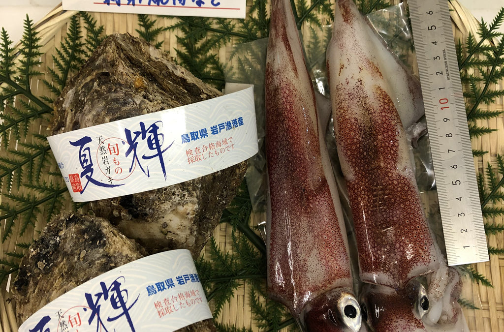 7月13日（月）鳥取港海鮮市場 かろいち：シロイカ・岩ガキ「夏輝」セットや鮮魚セットあります！