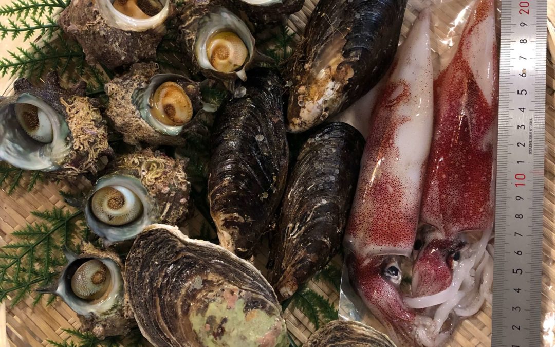 8月21日（金）鳥取港海鮮市場 かろいち：鮮魚セット、干物セットなど有！2500円以上で送料無料！