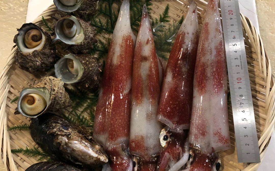 8月24日(月)鳥取港海鮮市場 かろいち：鮮魚セットあります！2500円以上送料無料8/31まで！