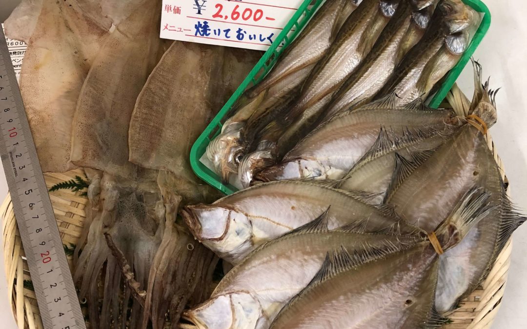 8月28日（金）鳥取港海鮮市場 かろいち：鮮魚セットなどを販売。送料無料キャンペーンは今月で終了！